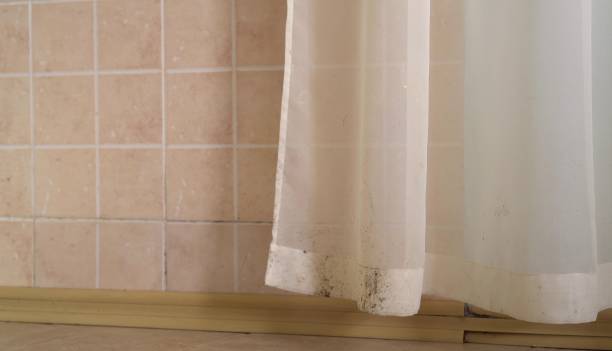 Best Mold Remediation for Healthcare Facilities  in Amsterdam, NY