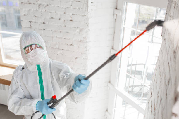 Best Crawl Space Mold Remediation  in Amsterdam, NY