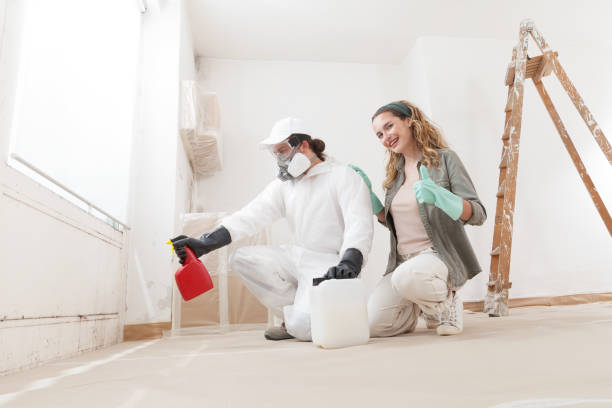 Best Mold Odor Removal Services  in Amsterdam, NY